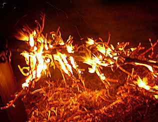 burning tree 3