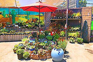 GardenStore1