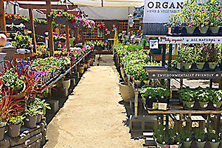 GardenStore2