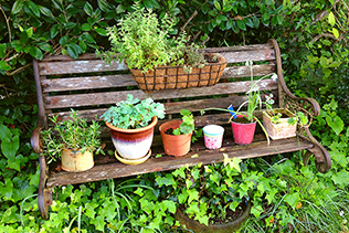 SideofLawnBench