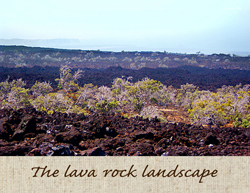 lavarock landscape